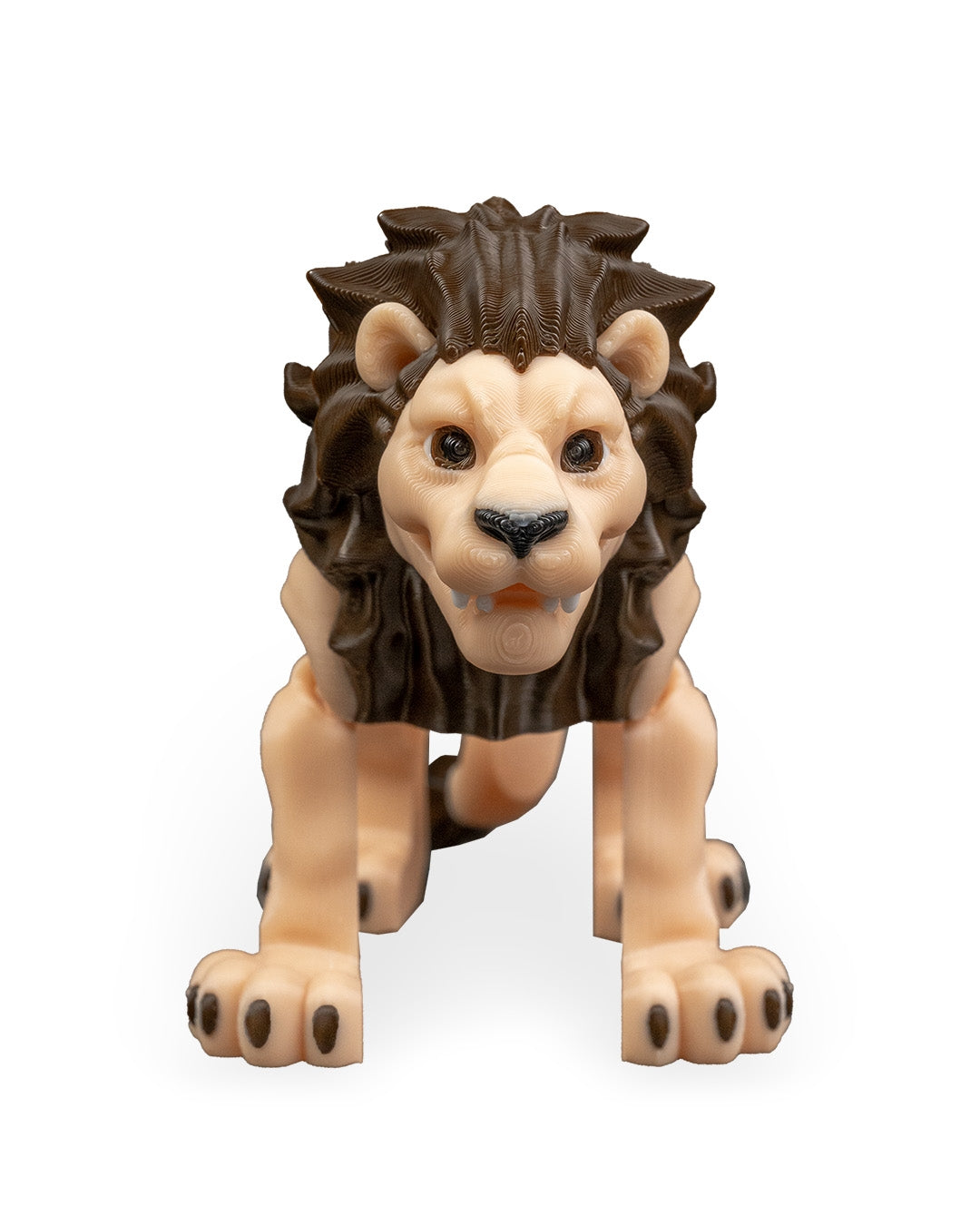 Flexible Lion