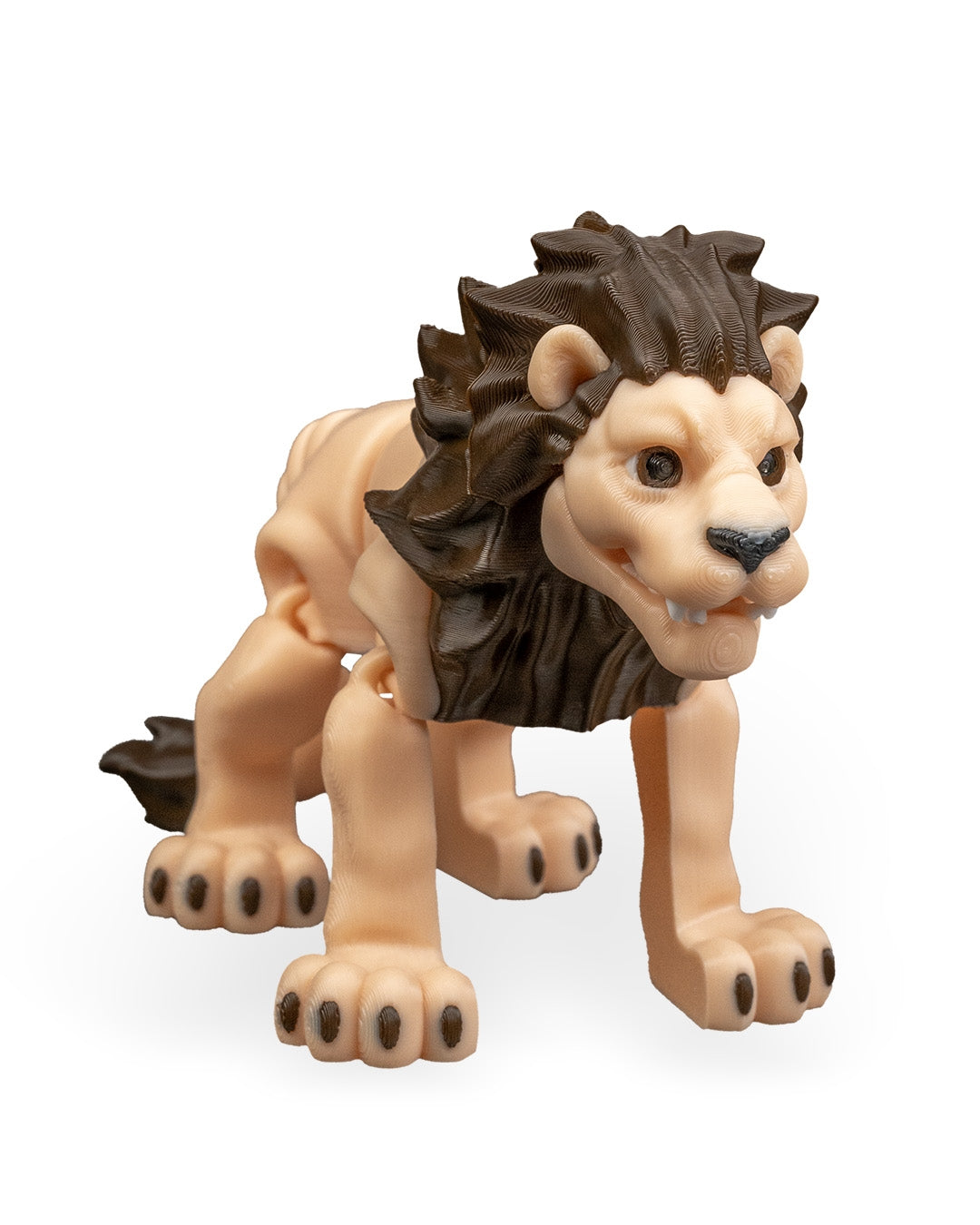 Flexible Lion