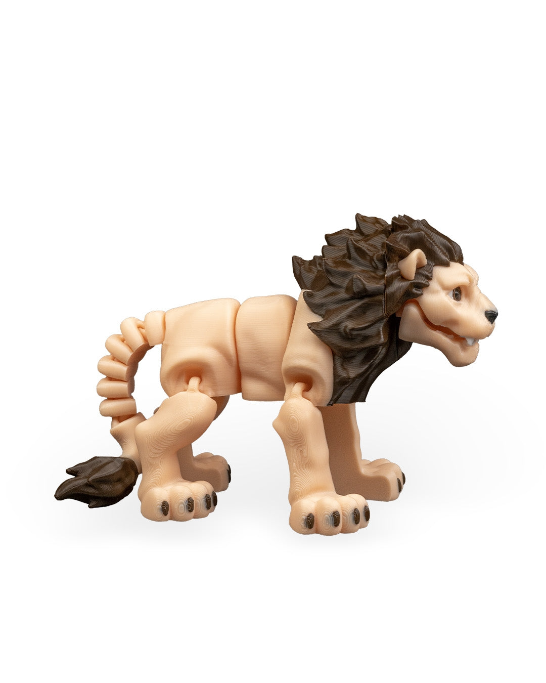 Flexible Lion