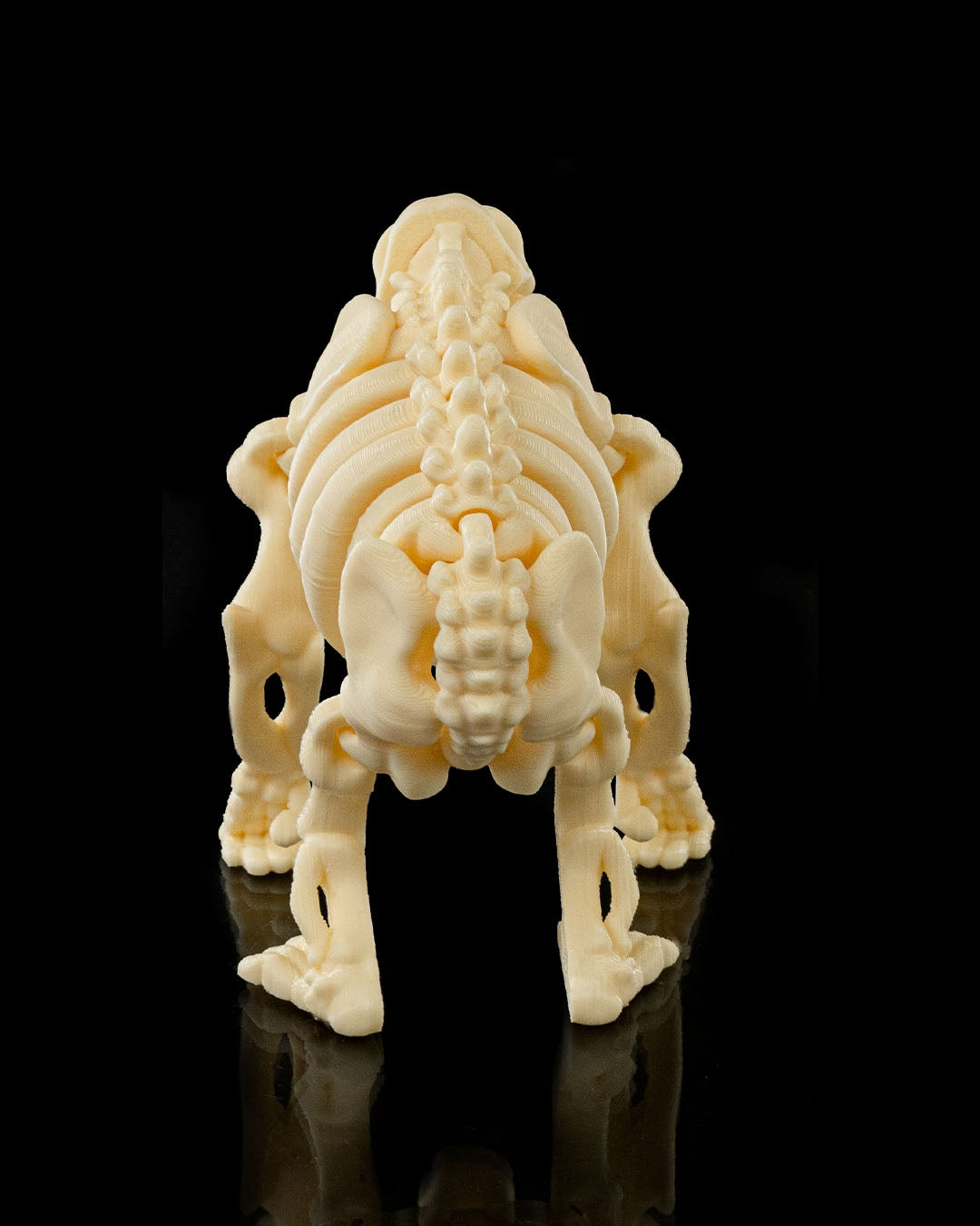 Flexible Chimpanzee