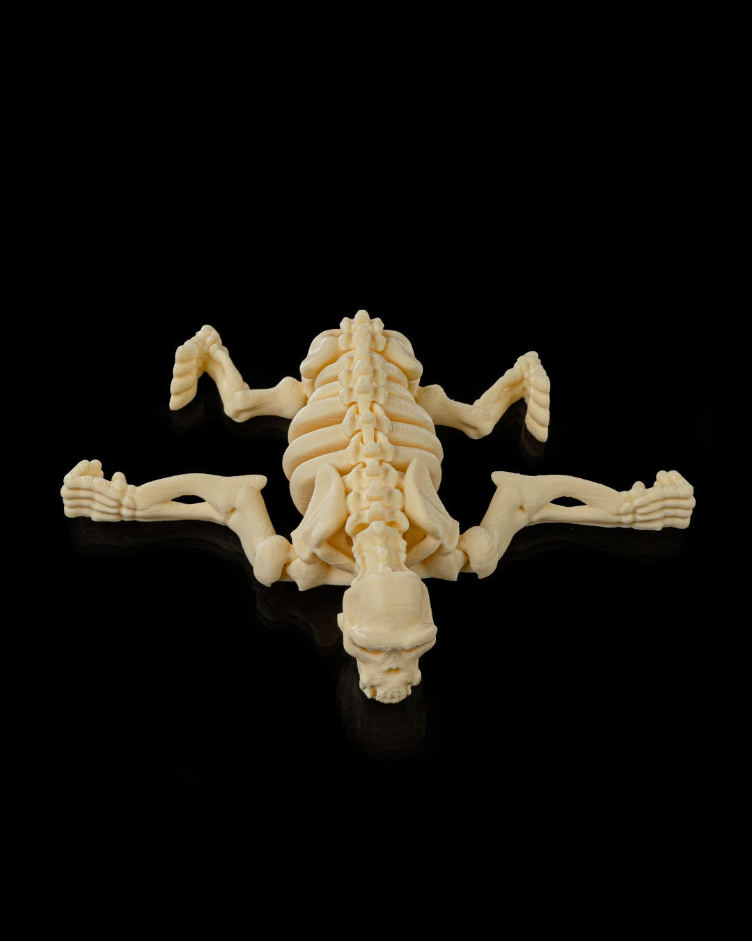 Flexible Chimpanzee