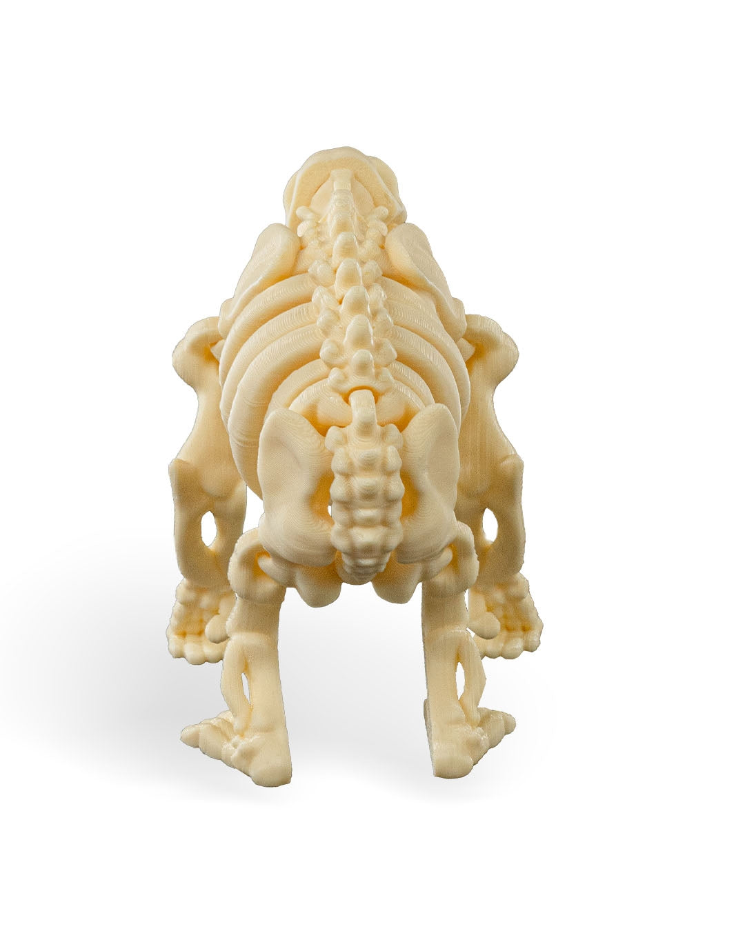 Flexible Chimpanzee