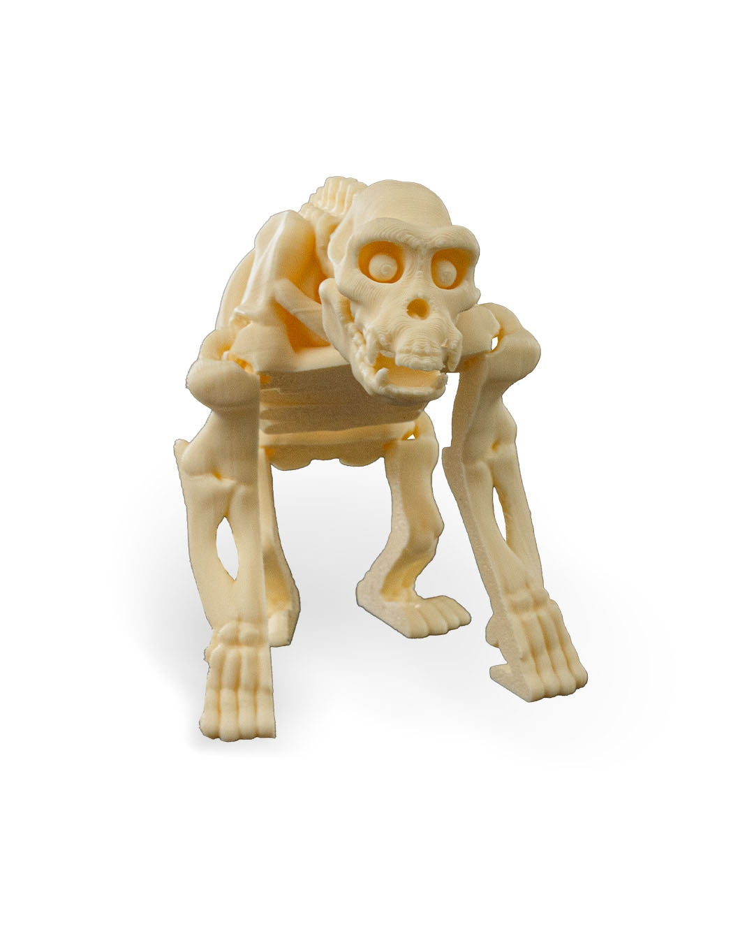 Flexible Chimpanzee