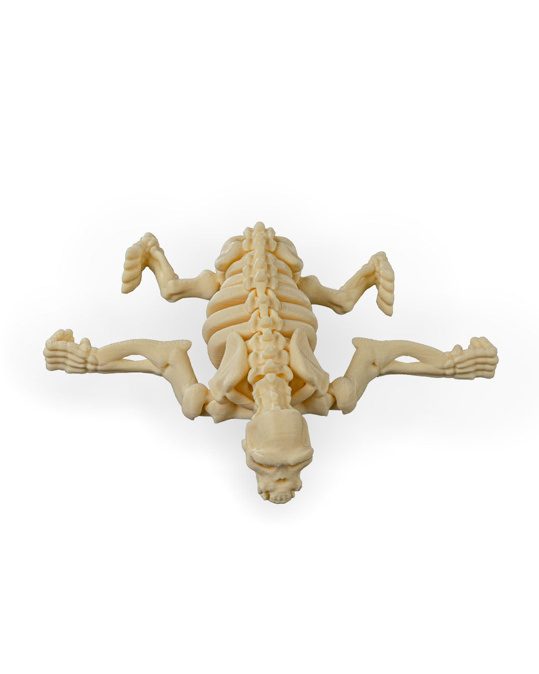 Flexible Chimpanzee