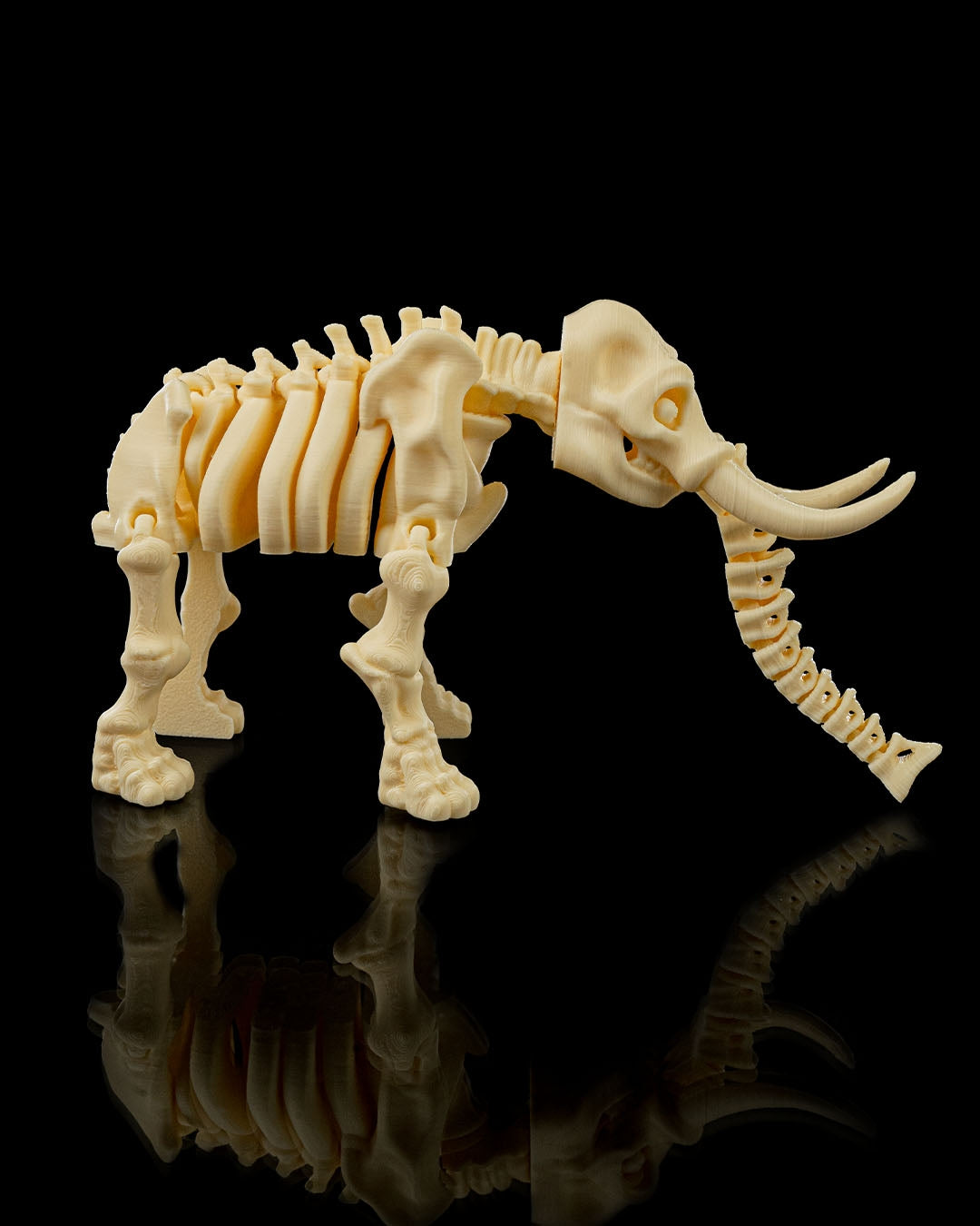 Flexible Elephant