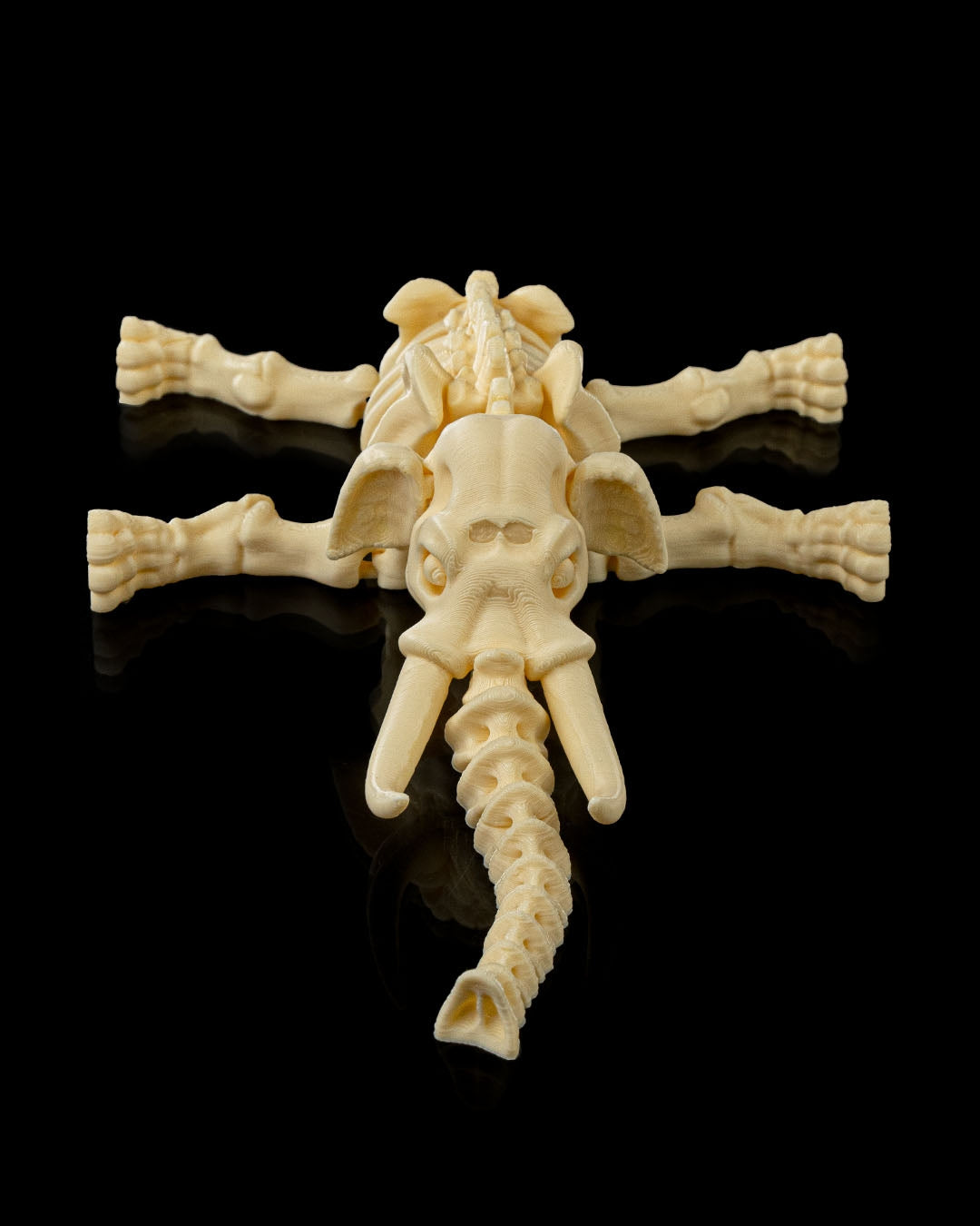 Flexible Elephant