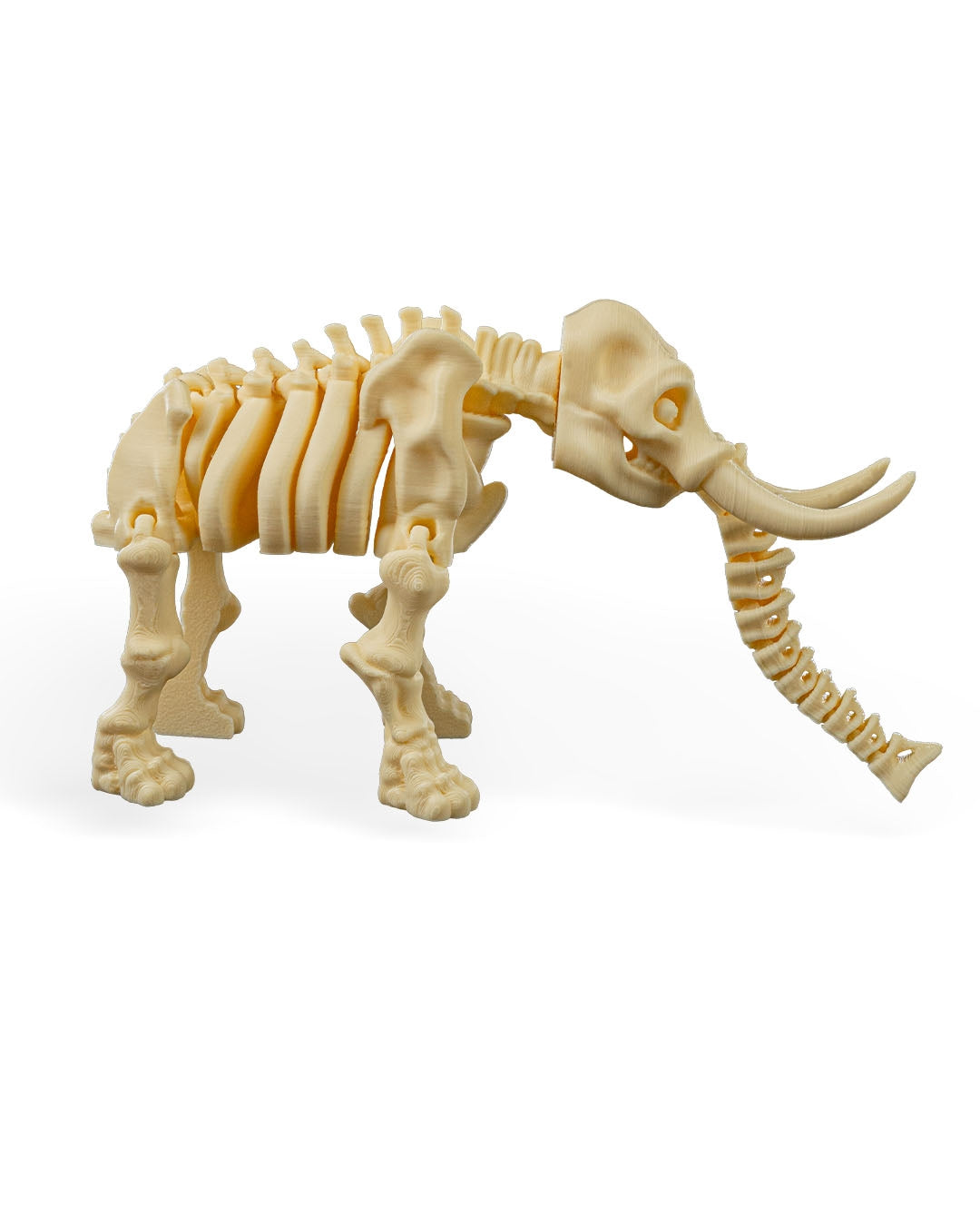Flexible Elephant