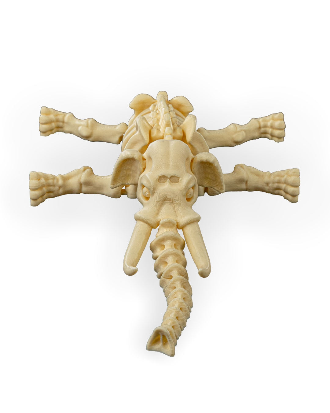 Flexible Elephant