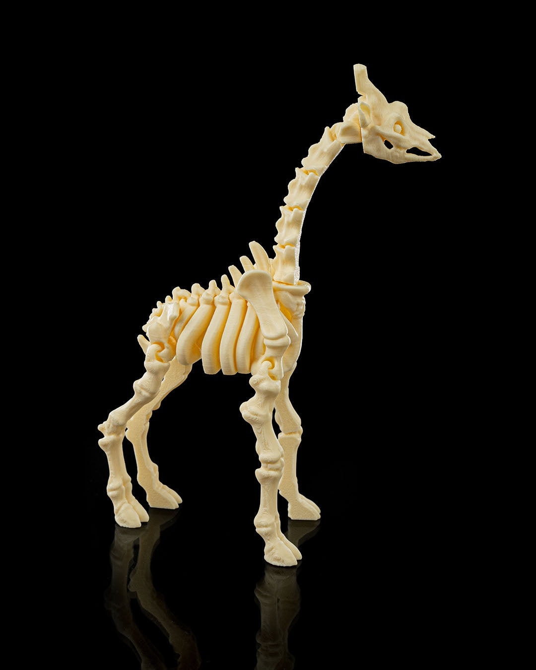 Flexible Giraffe