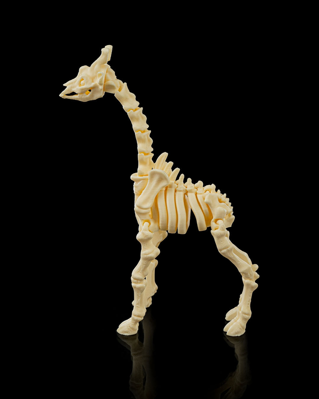 Flexible Giraffe