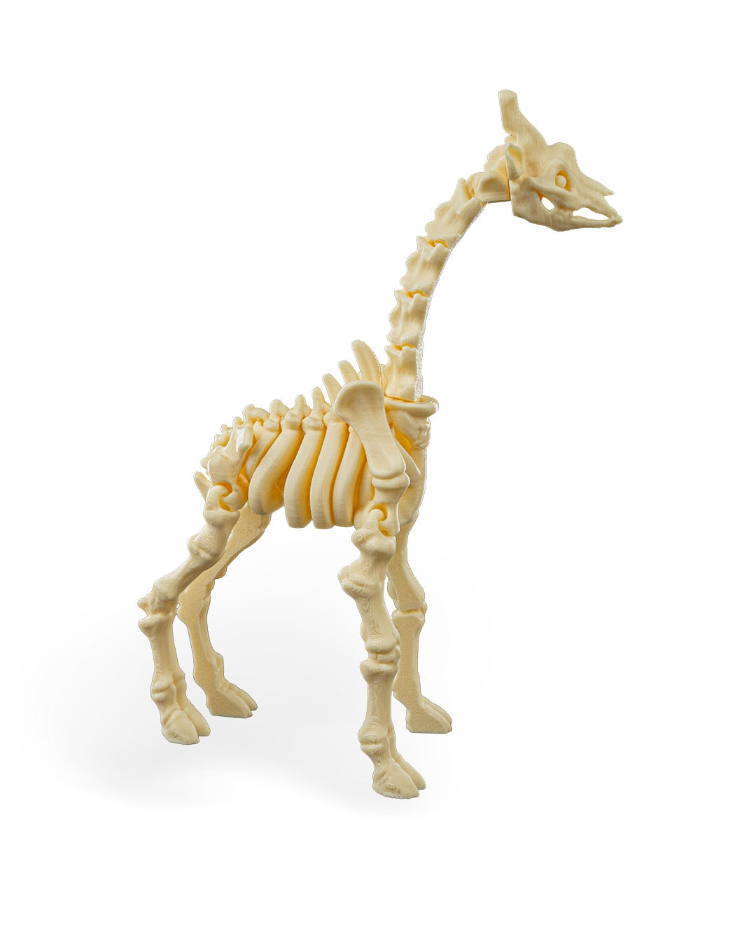 Flexible Giraffe