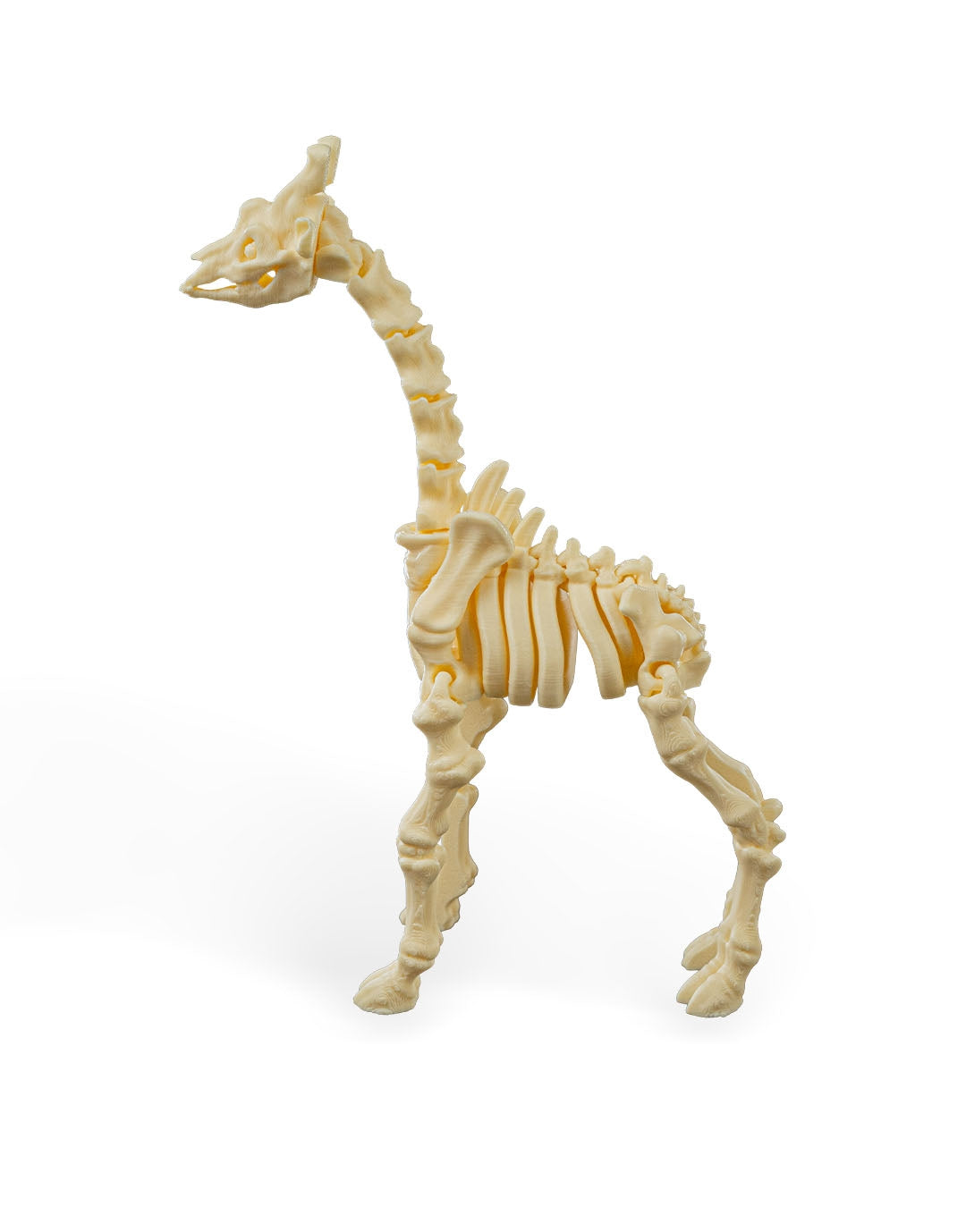 Flexible Giraffe