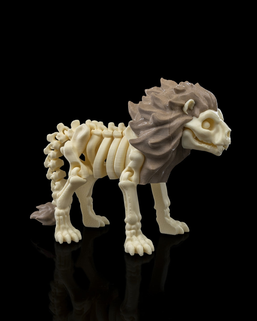 Flexible Lion