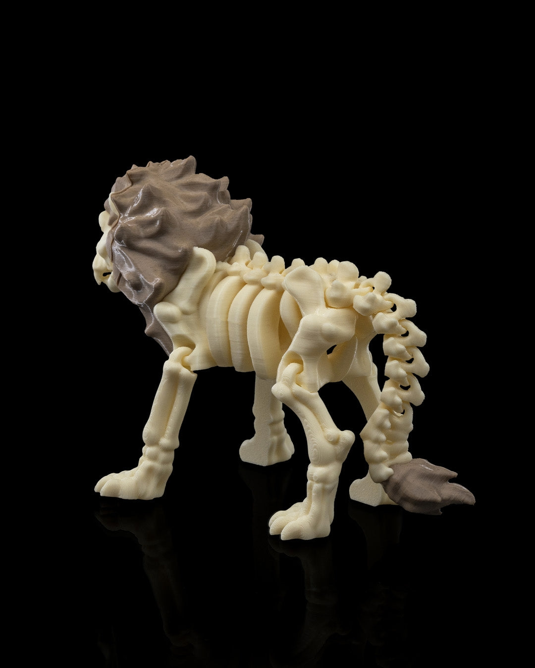 Flexible Lion