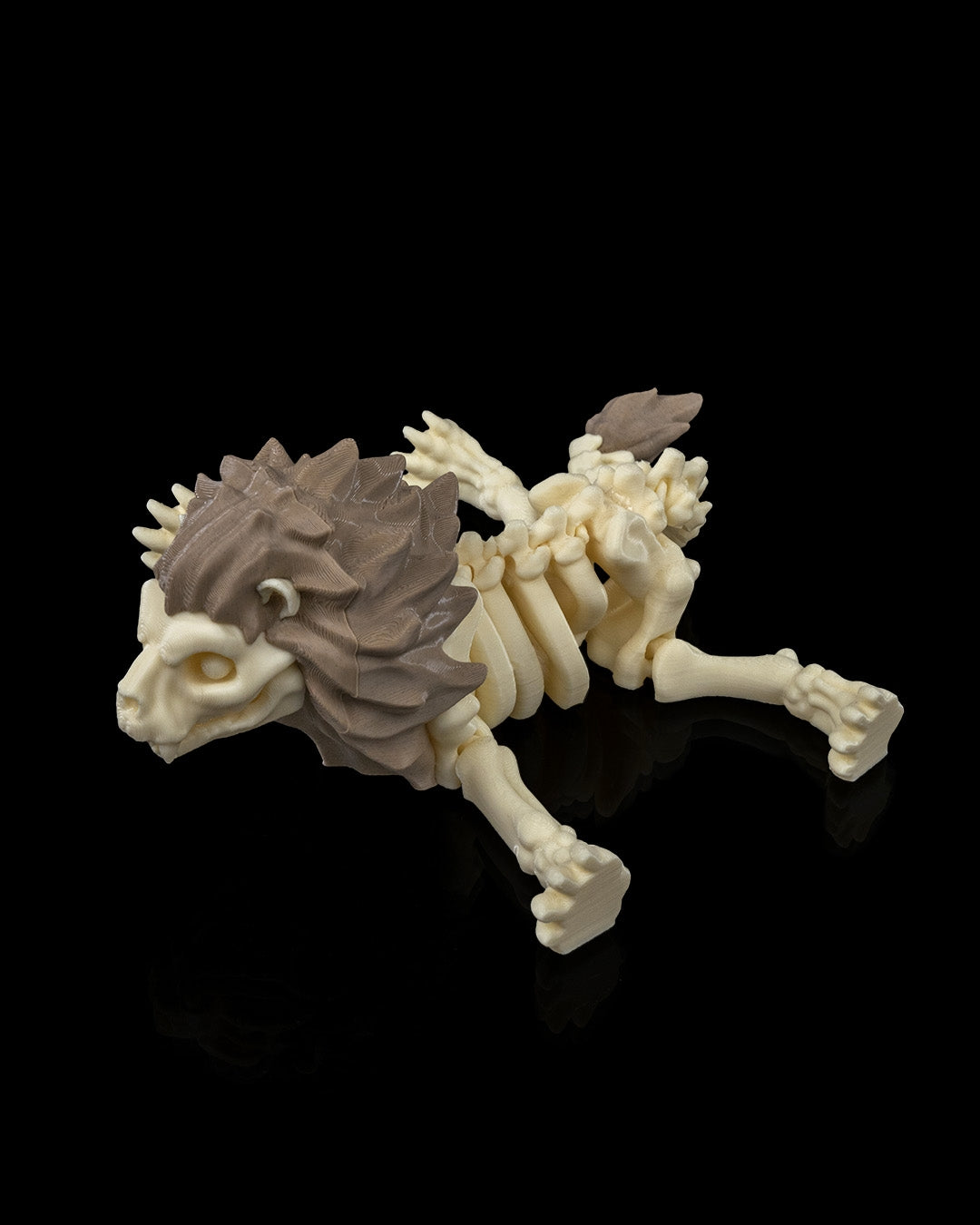 Flexible Lion