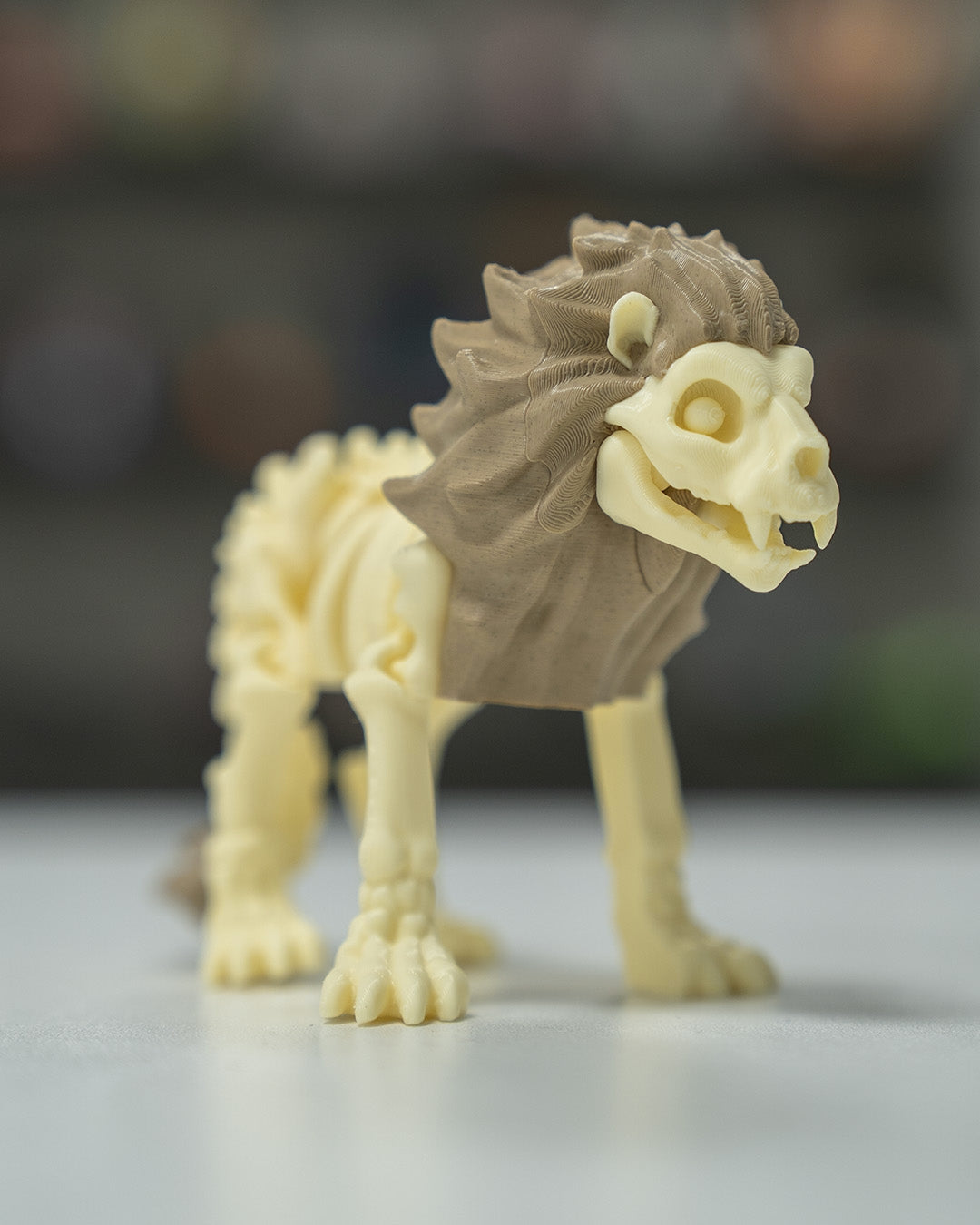 Flexible Lion
