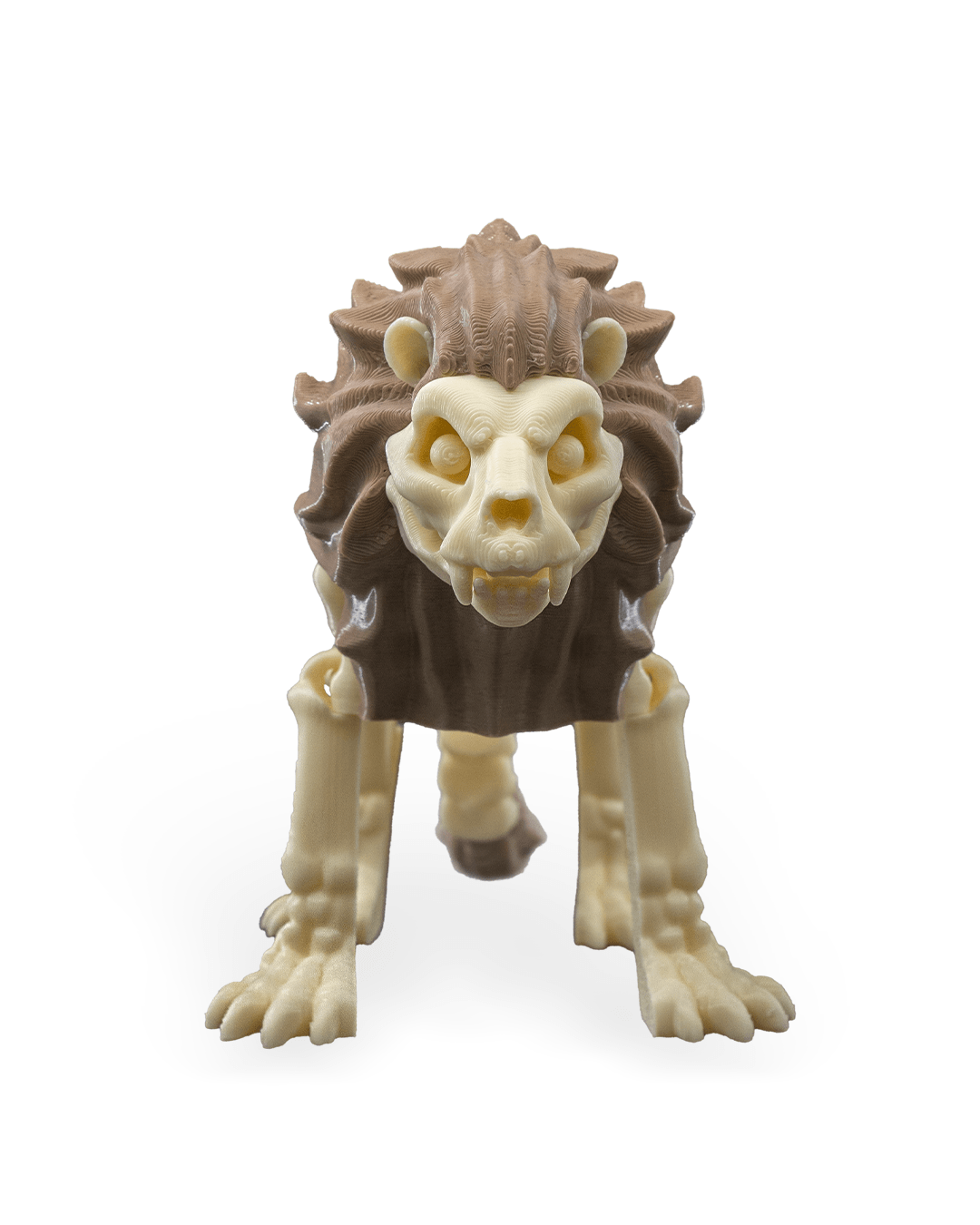 Flexible Lion