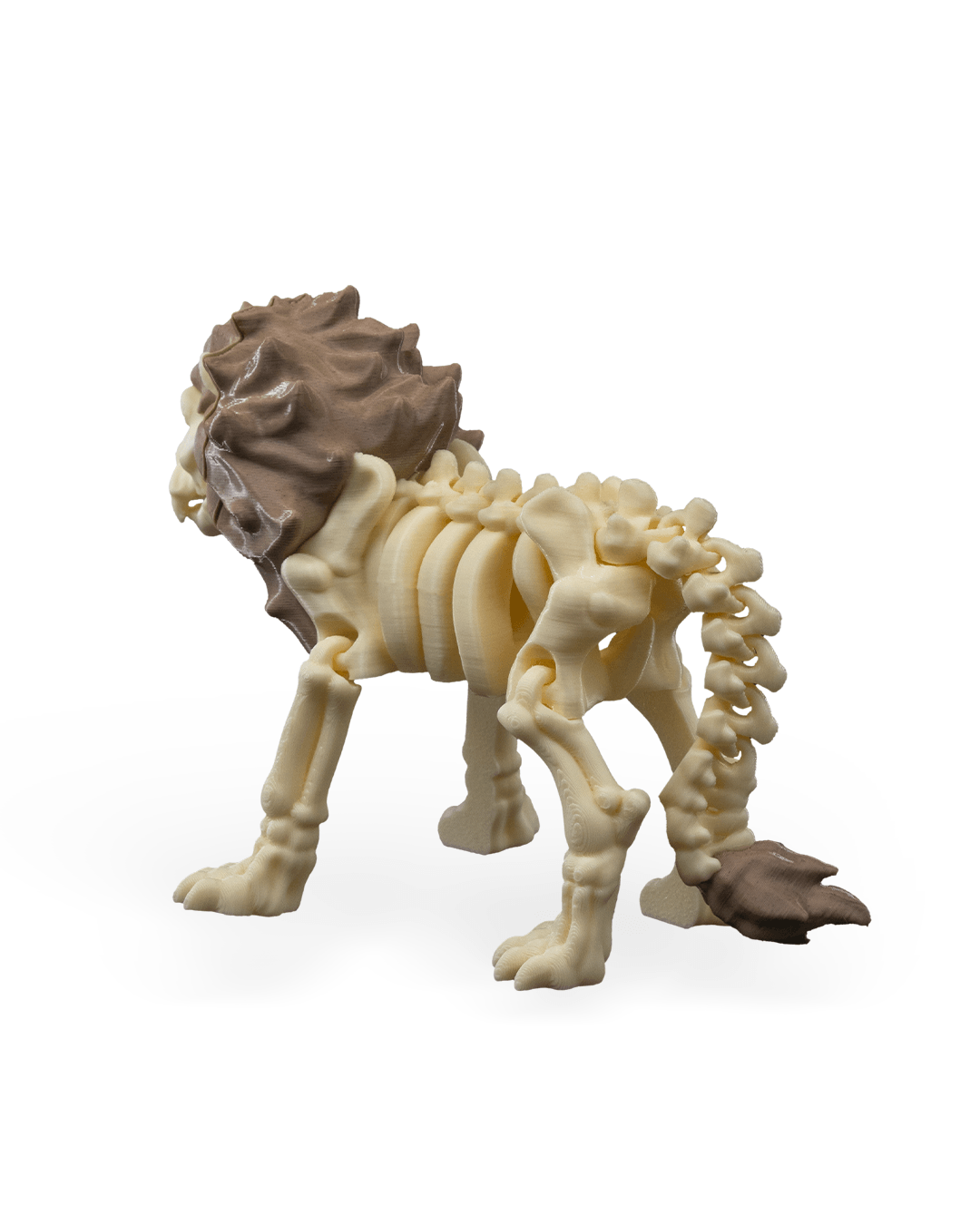 Flexible Lion