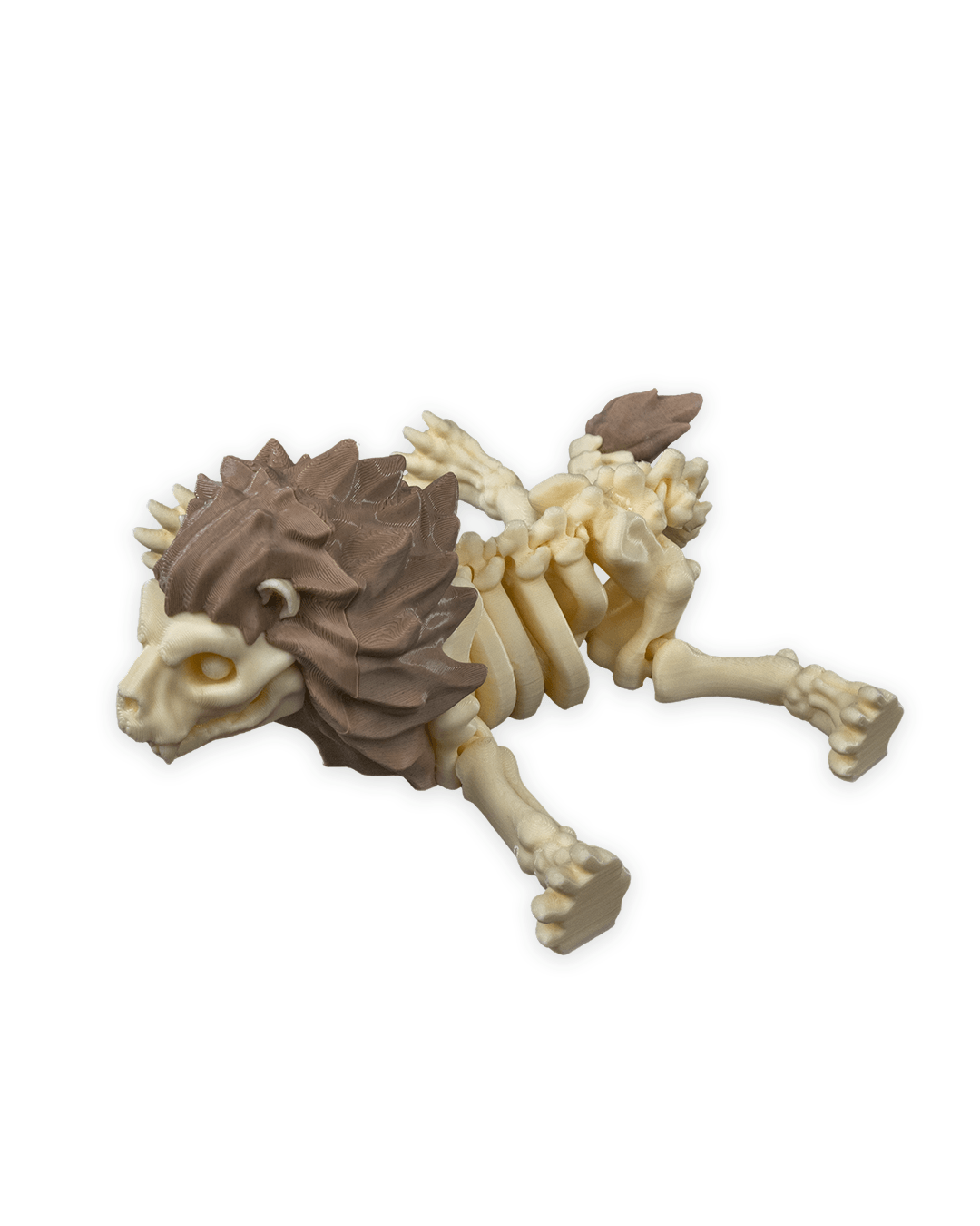 Flexible Lion