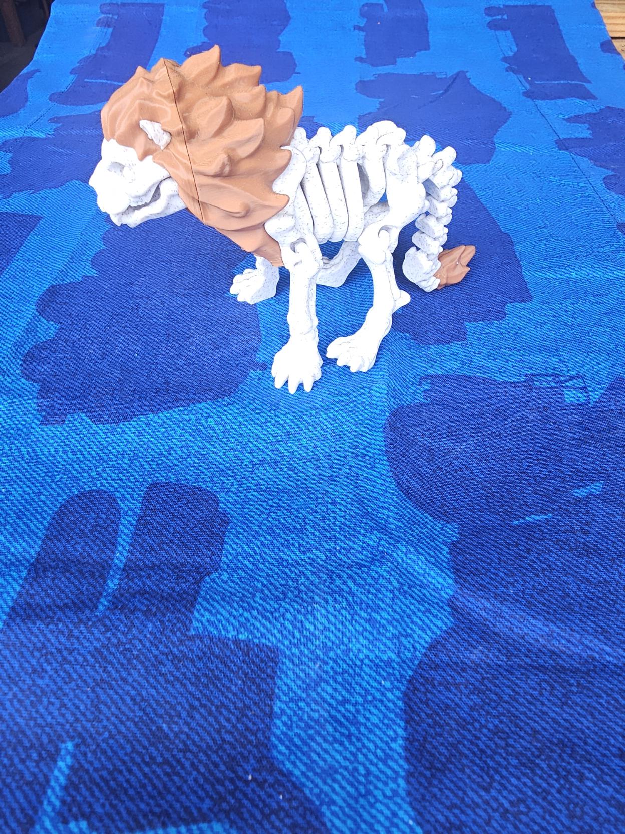 Flexible Lion